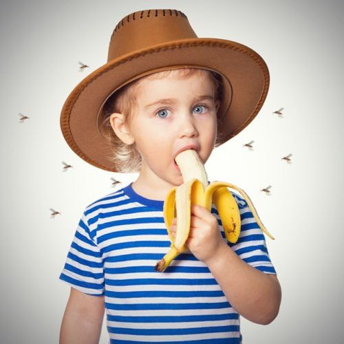 Curiosidades sobre os alimentos banana
