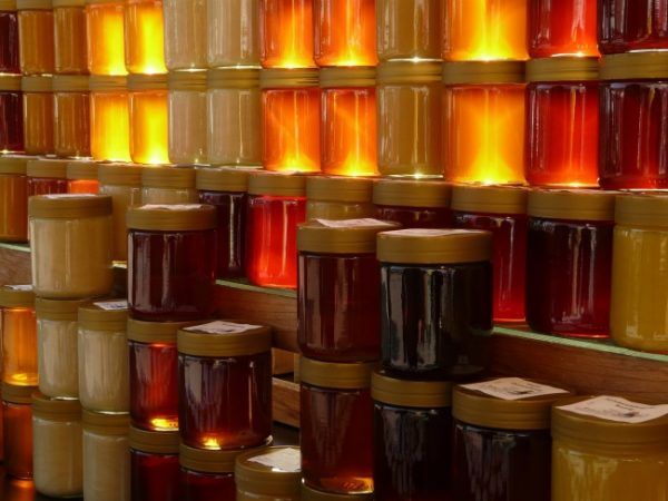 Curiosidades sobre os alimentos mel