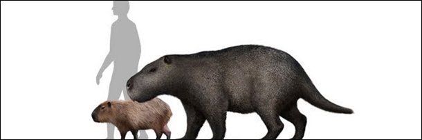 Animais gigantes que já foram extintos
