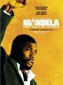 Mandela: Long Walk To Freedom - Cartaz do Filme