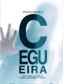 Ensaio Sobre A Cegueira - Cartaz do Filme