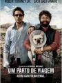 Um Parto de Viagem - Cartaz do Filme