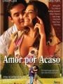 Amor Por Acaso - Cartaz do Filme