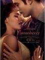 A Saga Crepúsculo: Amanhecer - Parte 1 - Cartaz do Filme