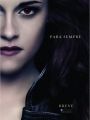 A Saga Crepúsculo: Amanhecer - Parte 2 - Cartaz do Filme