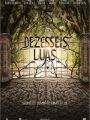 Dezesseis Luas - Cartaz do Filme