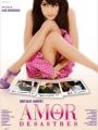 Amor e Outros Desastres - Cartaz do Filme