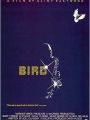 Bird - Cartaz do Filme