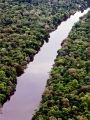 Amazônia Eterna - Cartaz do Filme