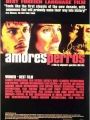 Amores Brutos - Cartaz do Filme