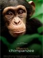 Chimpanzés - Cartaz do Filme