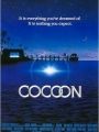 Cocoon - Cartaz do Filme