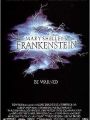 Frankenstein de Mary Shelley - Cartaz do Filme