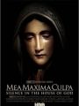 Mea Maxima Culpa: Silence In The House Of God - Cartaz do Filme