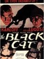 O Gato Preto - Cartaz do Filme