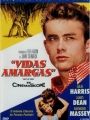 Vidas Amargas - Cartaz do Filme