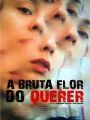 A Bruta Flor do Querer - Cartaz do Filme