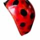 Lady Bug