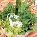 Receita Salada Verde com Hortelã