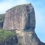 Revitalização do Parque Nacional da Tijuca terá duração de 18 meses