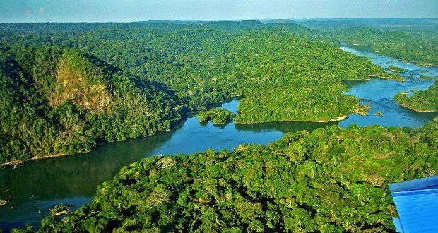 Floresta Amazônica - Brasil