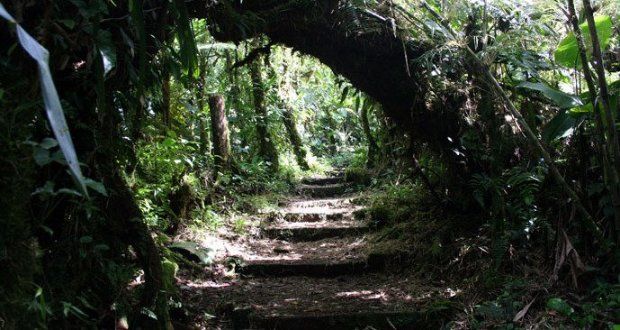 Monteverde Cloud Forest Reserve - Costa Rica